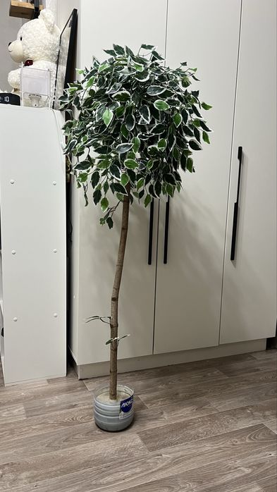 Искусственное дерево (фикус)