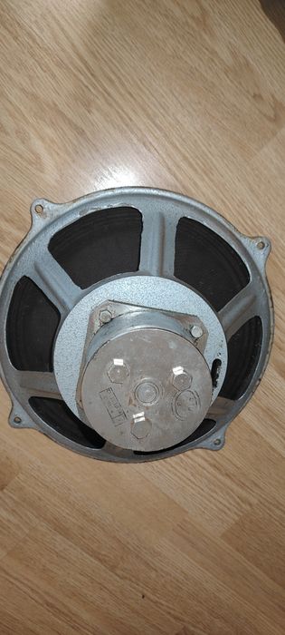 Raritate Electronica 12,5 W 6, 3 OHM  30 cm