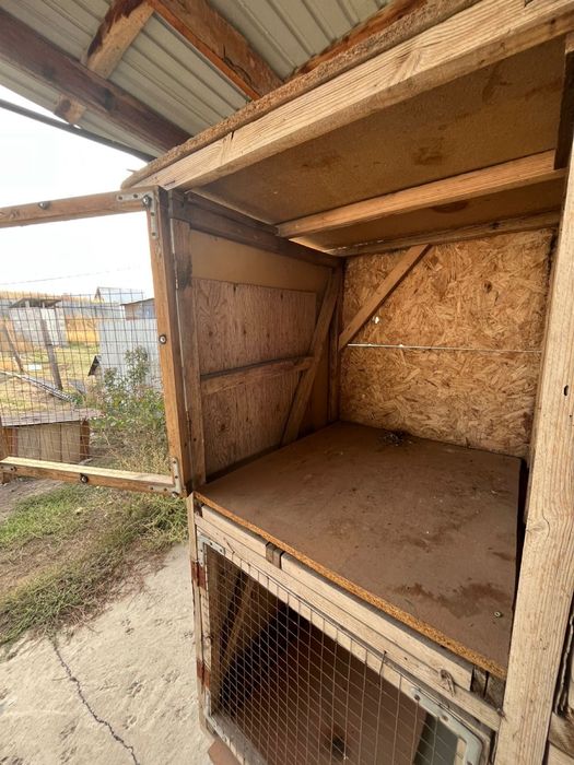 Продам клетку для даканов 4 в 1