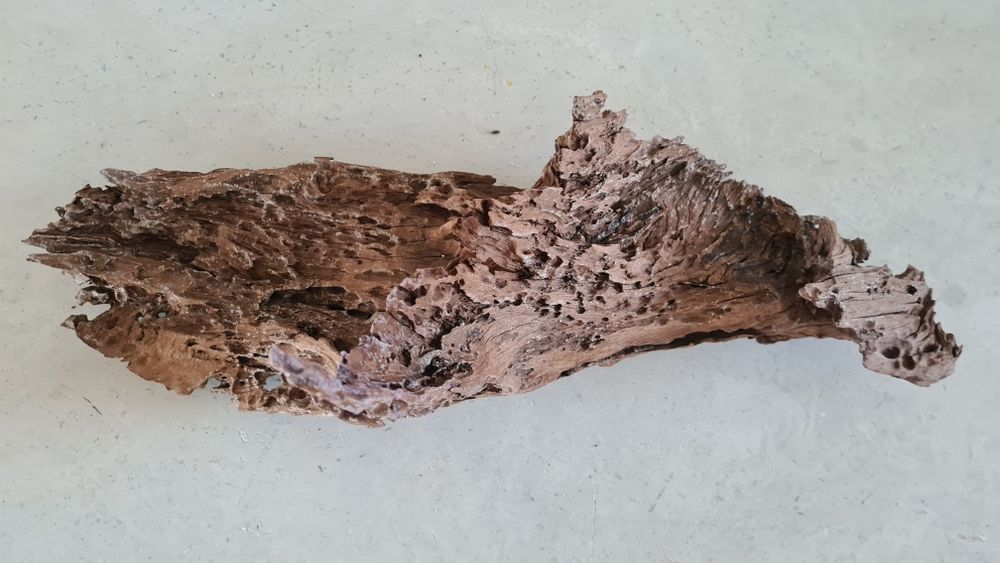 Buturuga / lemn mangrove pentru acvarii