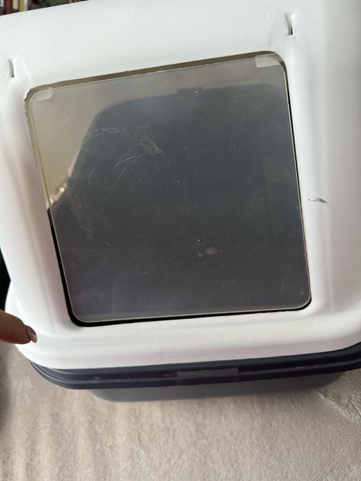 Litiera animalut de companie