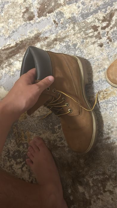 Vand timberlands uri
