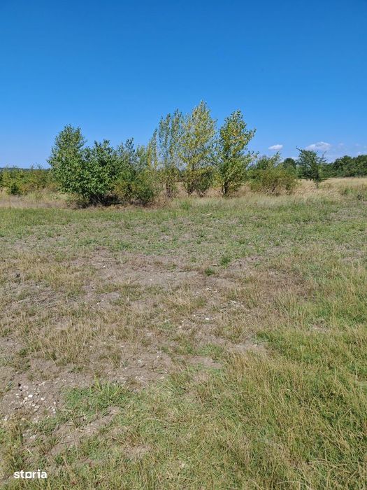 Bănești - teren intravilan 1501mp - 35 Euro/mp