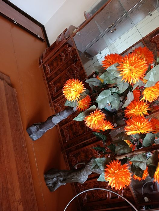 Stenka sotiladi gorka