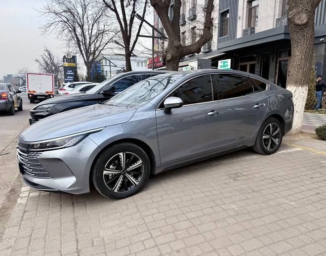 Byd chazor 2024.