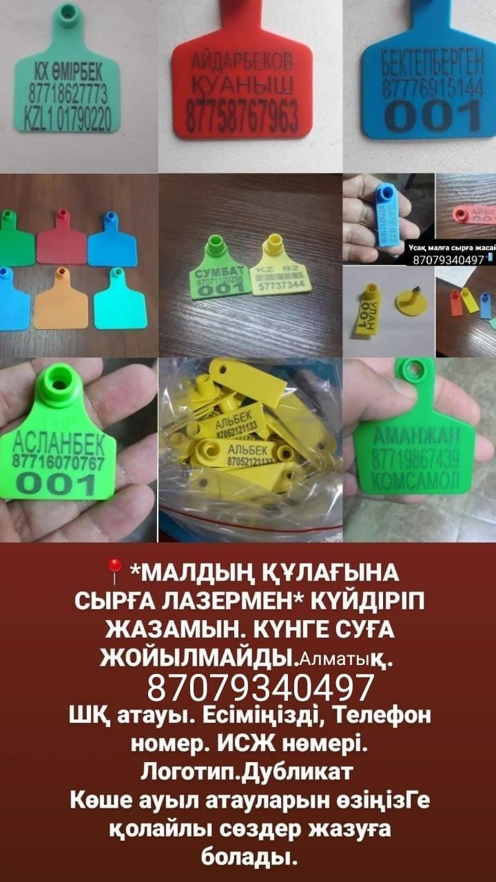 Жылқы, Бие, Ушные бирка, Малға Сырға, қой, Сйыр, Кой, Бұқа,Қошқар,