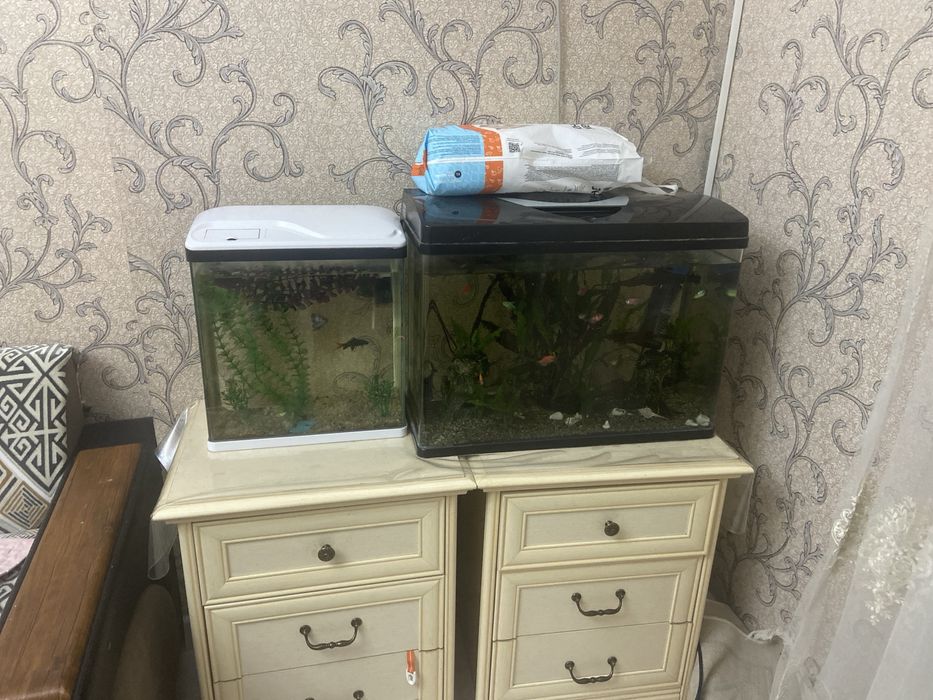 Продам аквариумы