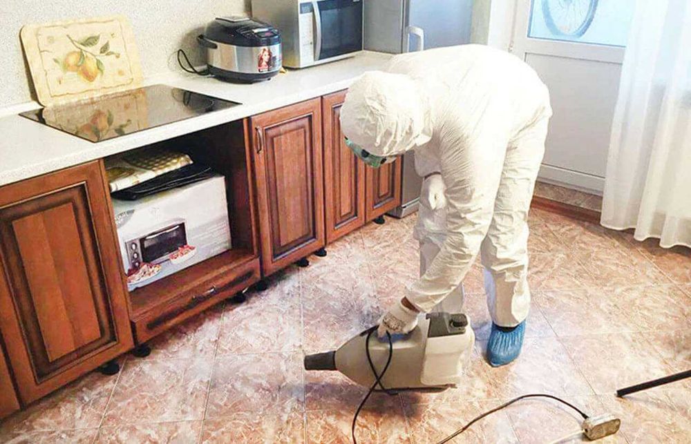 Дезинфекция от насекомых