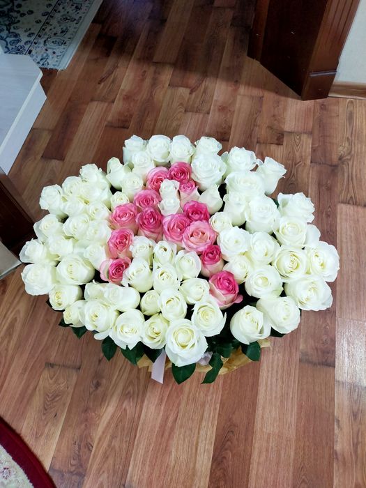 голландские розы