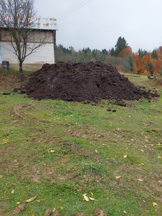 Gunoi de vacă putred