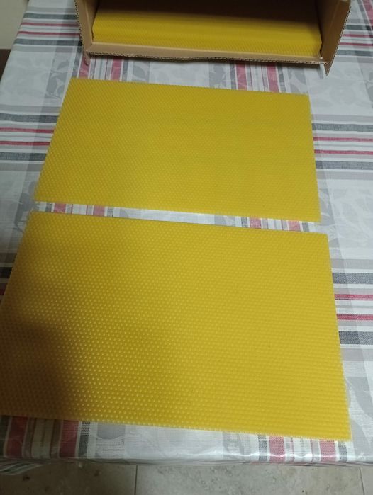 Vand faguri din ceara de căpăceală