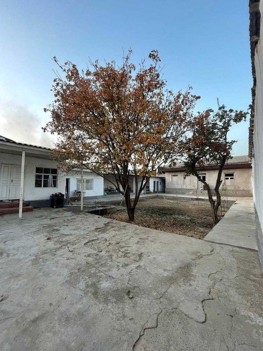 Chinoz tumani Xamza maxallasida 6.5 sotix hovli sotiladi