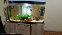 Akvarium Akril Xitoy quyma 300 yaqin srochniy sotiladi