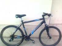 Canyon Iowa Sport 350 лв