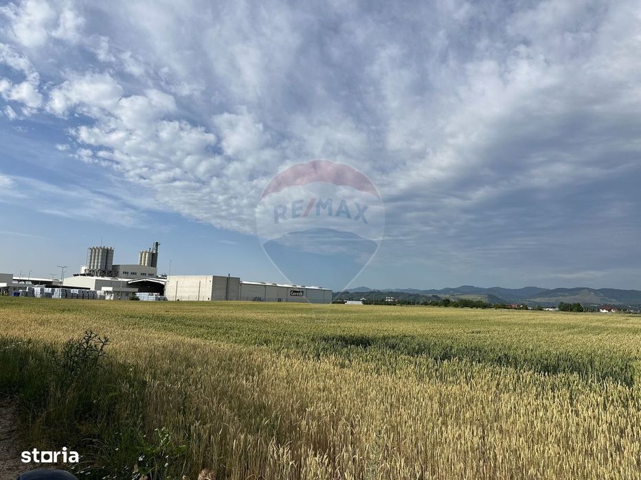 Teren zona industriala Roznov