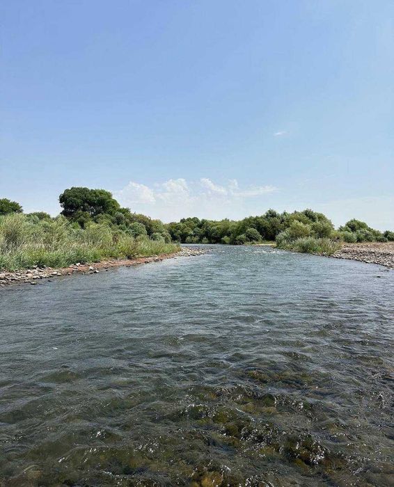 СУПЕР СРОЧНО! !Продается зона отдыха в Ахангаране. 7.77 Га