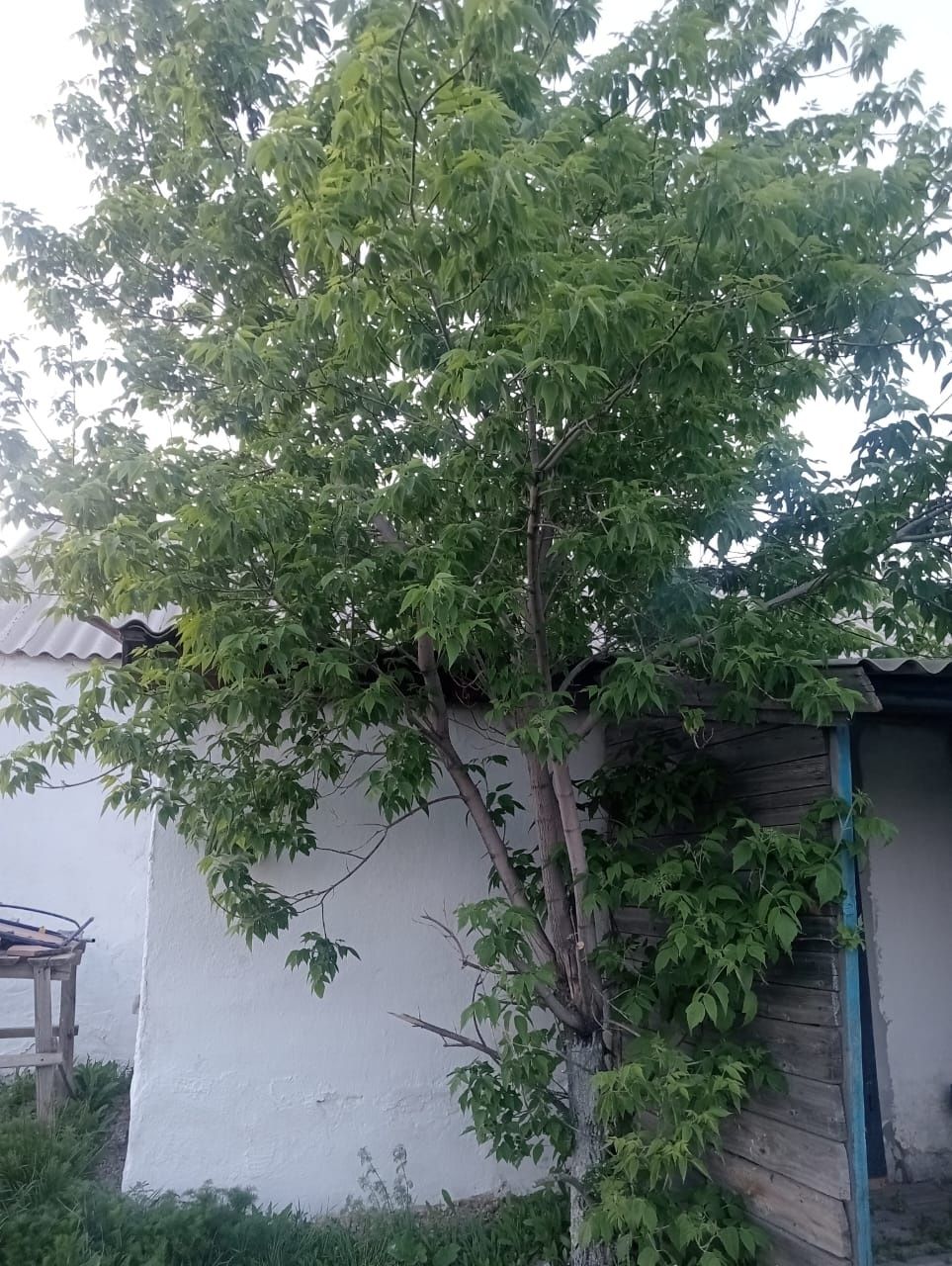 Продам дом 4 комнатная. Без торг