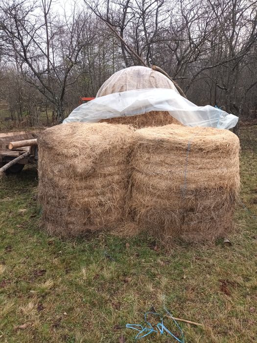 Vand baloti de fan 125×125