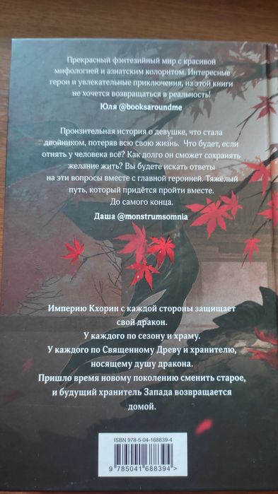 Книга Двойник Запада