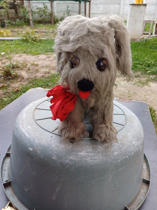 Catel din plus vechi romanesc