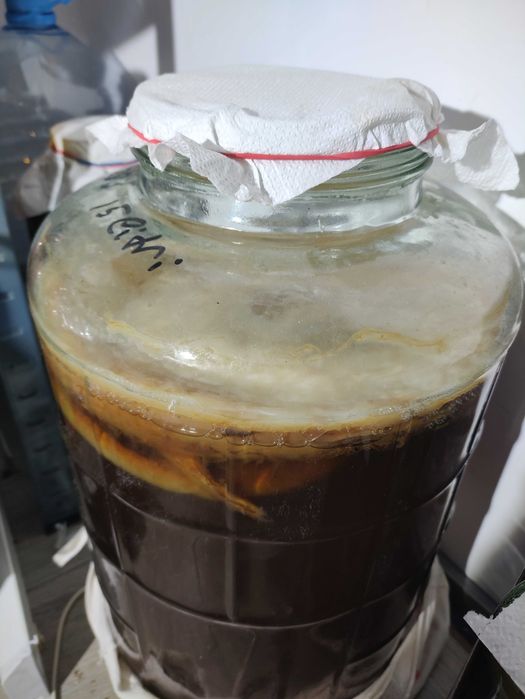 Vand ceai Kombucha fermentat