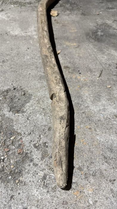 Кобилица антична