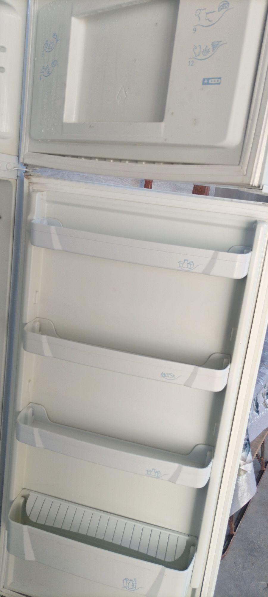 Muzlatgich indesit