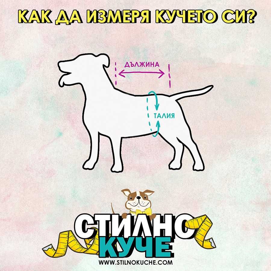 Хигиенни гащи за разгонени женски кучета Кучешки гащи Кучешки дрехи