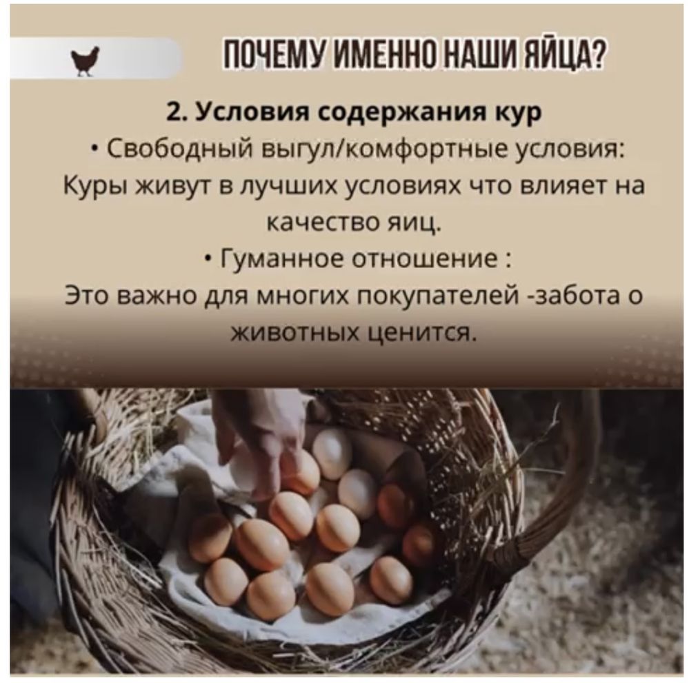 Домашние яйца халал