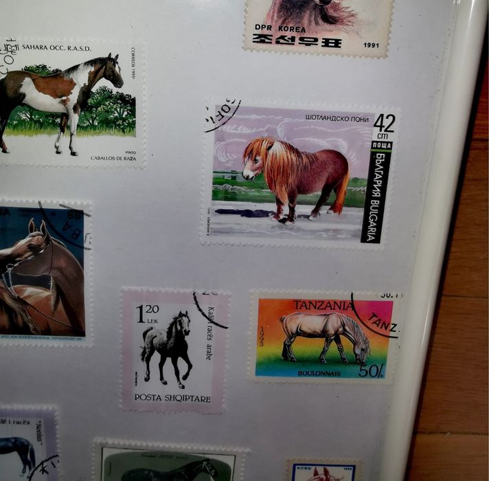 Картина от пощенски марки 17 бр. коне в бяла рамка 20,5 х 28,5 х 2 см