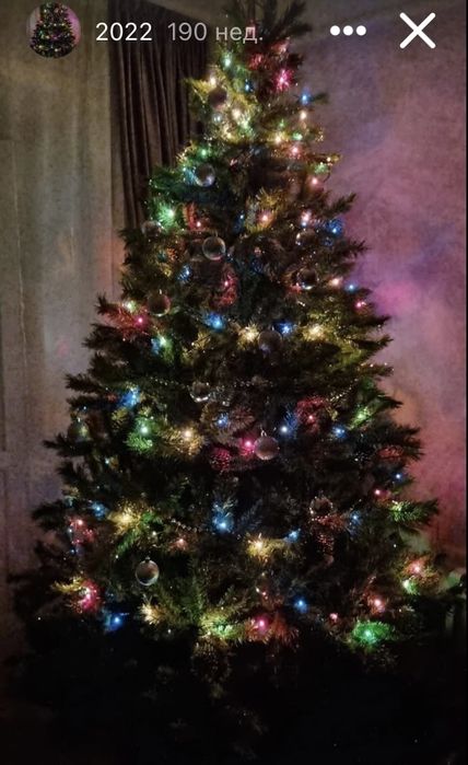 Елка пышная 2 метра