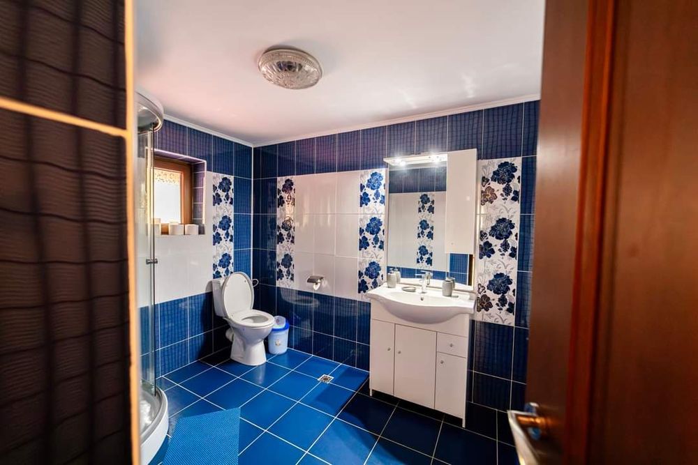 Pensiune/cazare Drăgășani