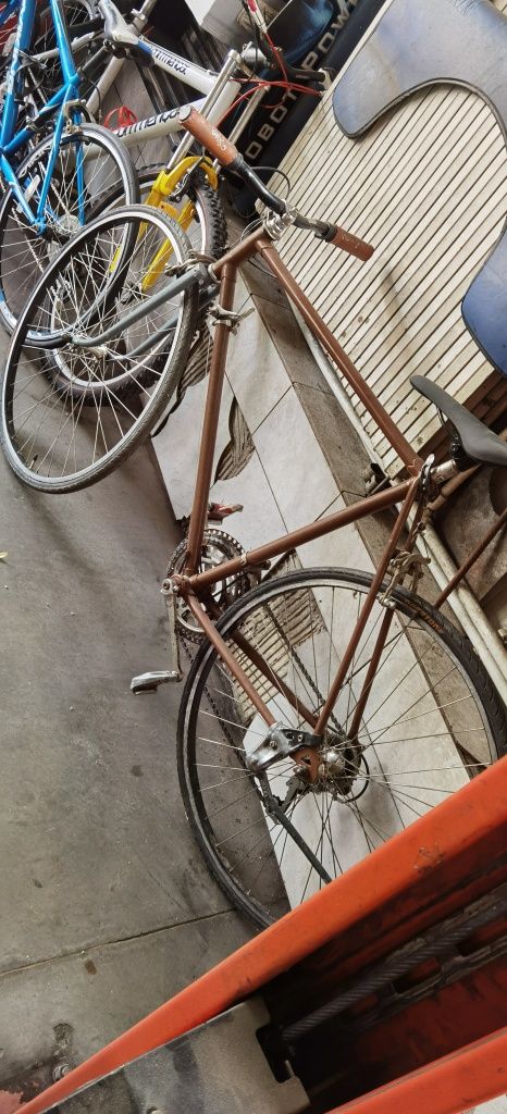 Bicicleta sputnik