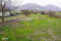 Teren 7968 mp Sighetu Marmatiei / Strada Lazu Baciului