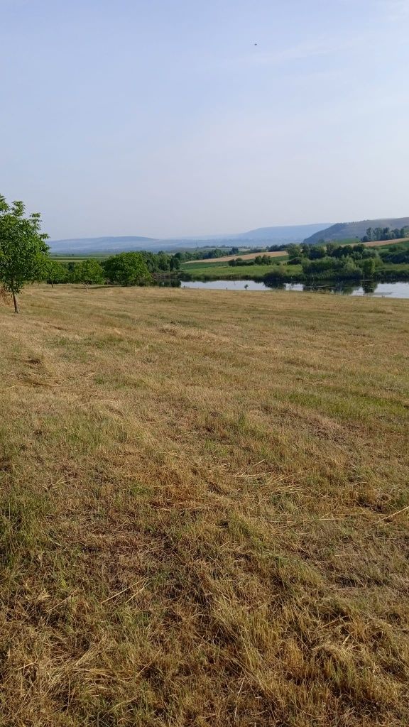 Ferma cu iazuri in Suceava 16 hectare