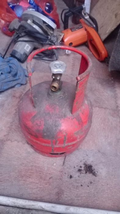 Продам болона малинки