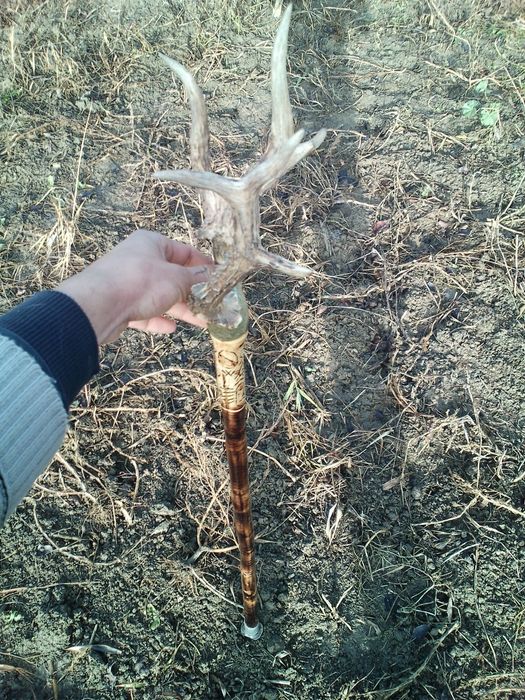 Baston ciomag bâtă toiag