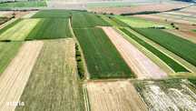 Un colț de natură  – Viile Satu Mare, zona Dealu Mare