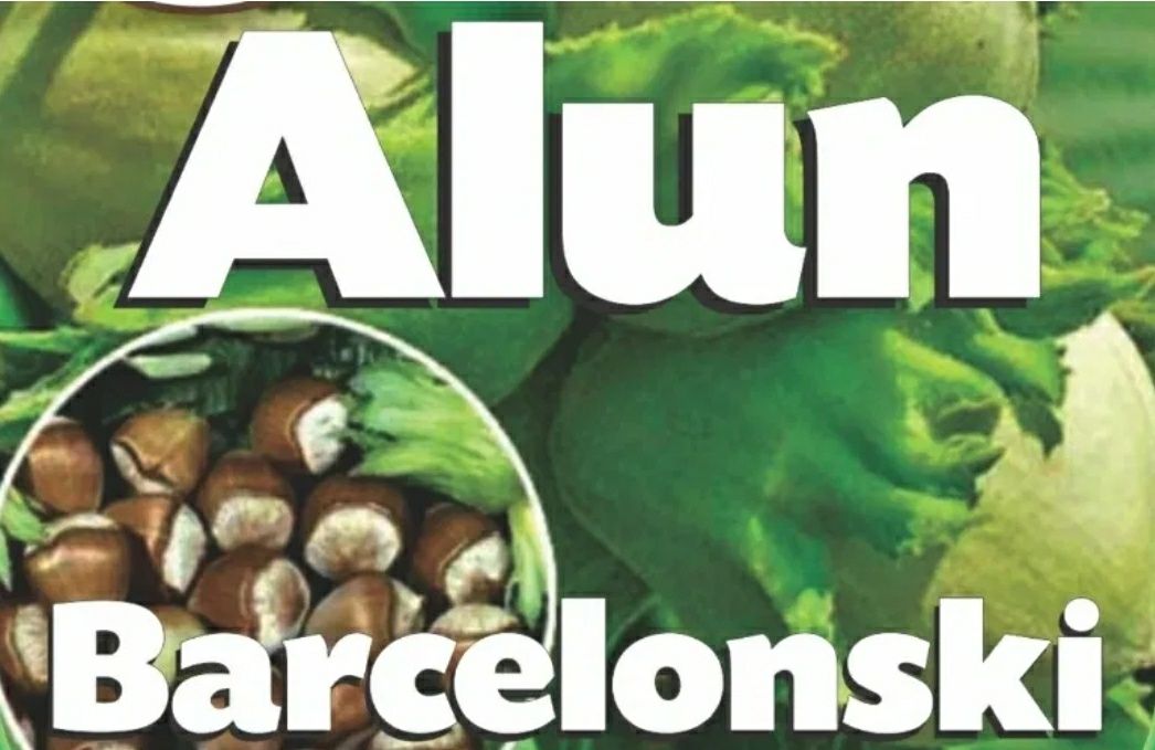 Alun Barcelonski