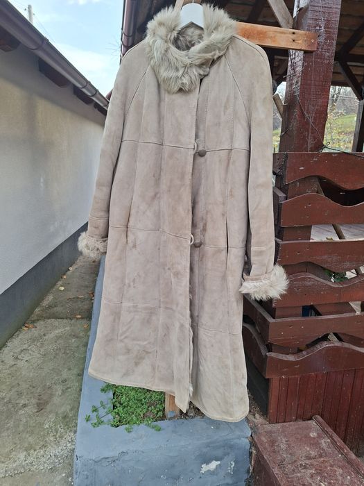 Cojoc alain delon dama