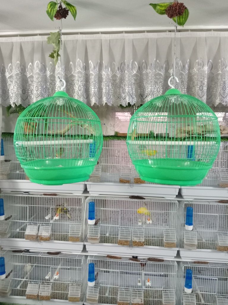 Инвентарь для канареек