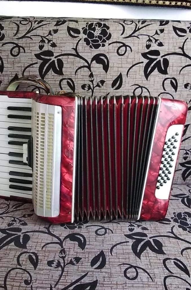 Acordeon Weltmeister-vintage.