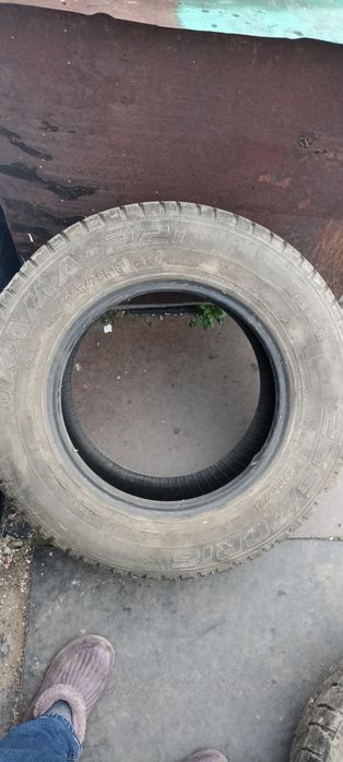 Продам покрышки б/у