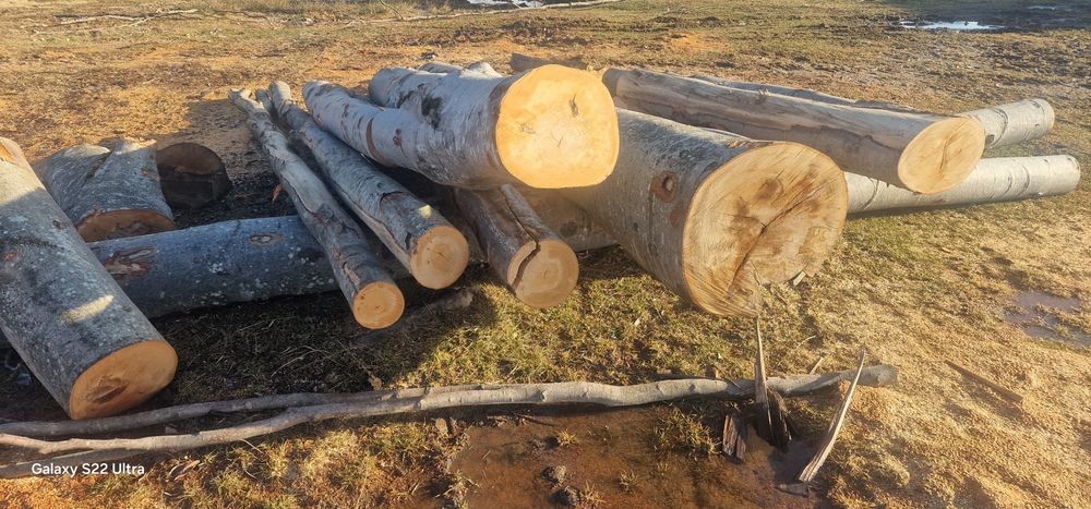 Lemn de foc transport inclus