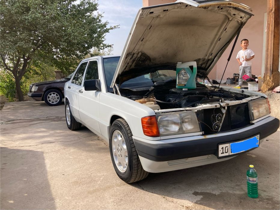 Mercedes-benz w201 190e