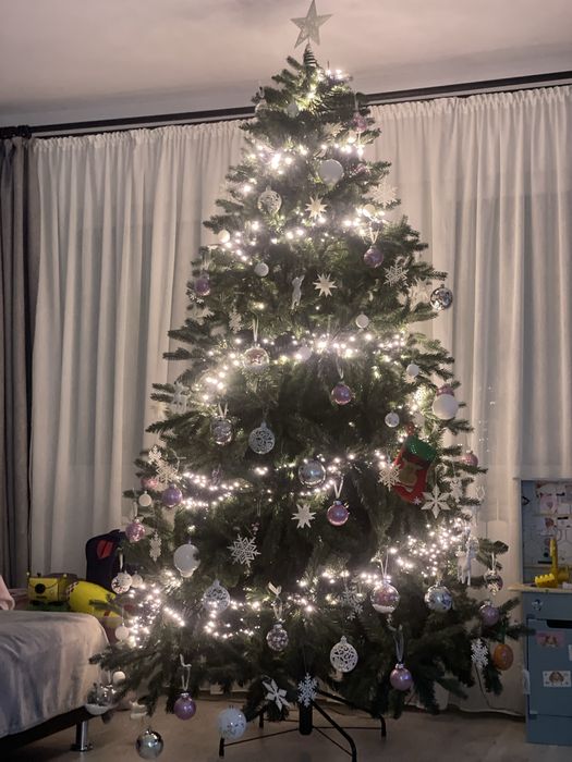 Vand brad artificial , 240 inaltime !