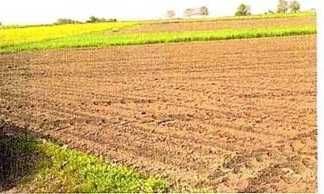 Teren extravilan, Moldoveni, Jud. Neamt