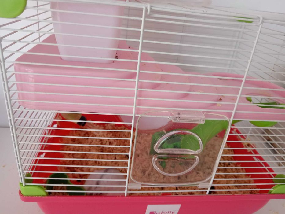 Hamster pitic și cușcă cu accesorii