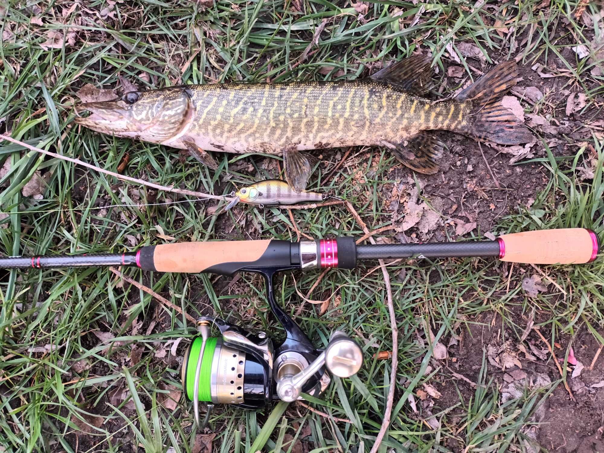 Спининг Maximus Marauder Twiching 198L 3-14гр; Daiwa Certate 04g