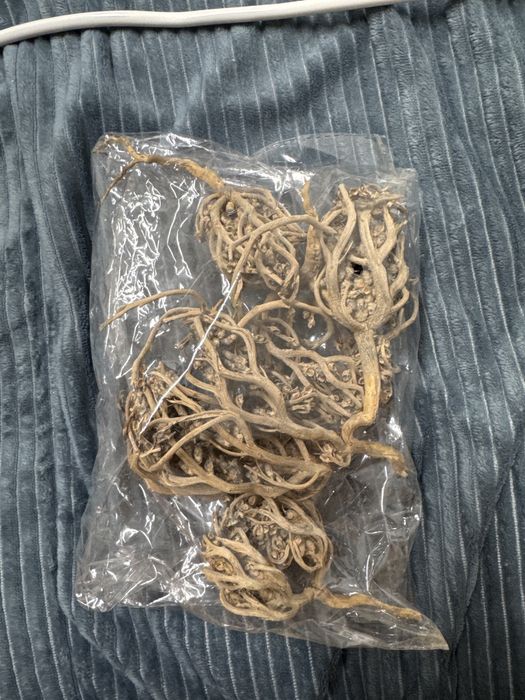 Каф марьям продам